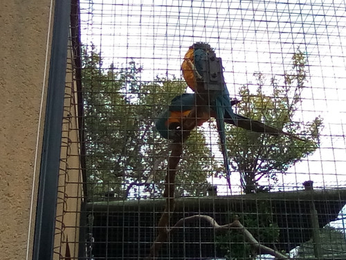 IMG 20191015 145240.jpg