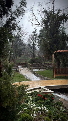 KFXkbZRhxppTR VU.jpg