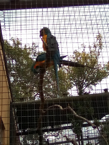 IMG 20191015 145232.jpg