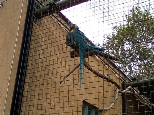 IMG 20191015 145214.jpg