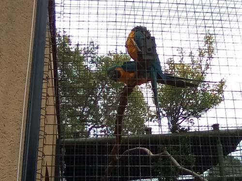 IMG 20191015 145238.jpg