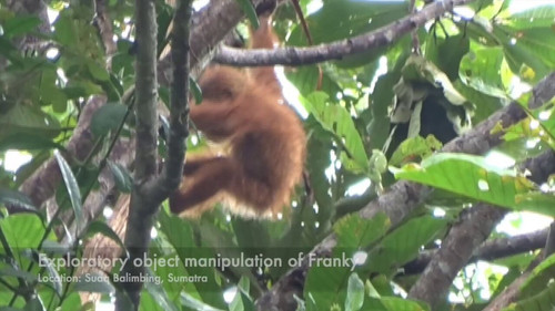 7J OVjbfCRBY1Cyi.jpg