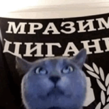 Discord YElMe0leJG.png