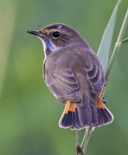 GqZGi03XgAARRUB.jpg