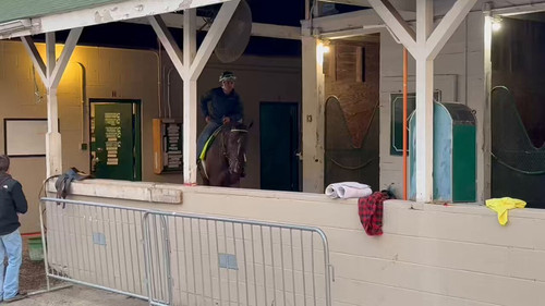 RPXOJ3Q4yT rIUqU.jpg