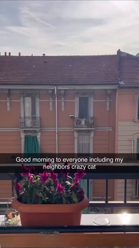 IU8kGXa 2c8f4WUc.jpg