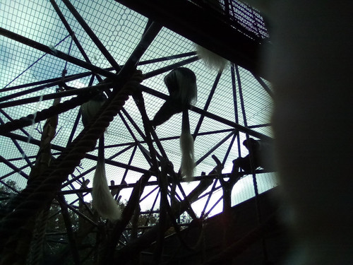 IMG 20191015 112154.jpg