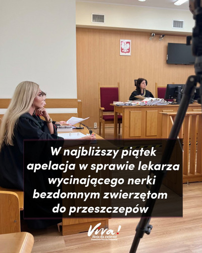 GqaZ N4XkAAYkTF.1