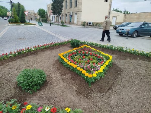 495334422 1113367030822677 8712509771491345424 n.jpg?stp=dst jpg s600x600 tt6& nc cat=111&ccb=1 7& n.jpg