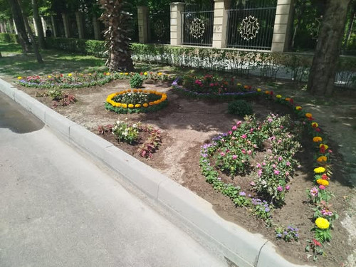 495371966 1113367014156012 7516253234786982757 n.jpg?stp=dst jpg s600x600 tt6& nc cat=109&ccb=1 7& n.jpg