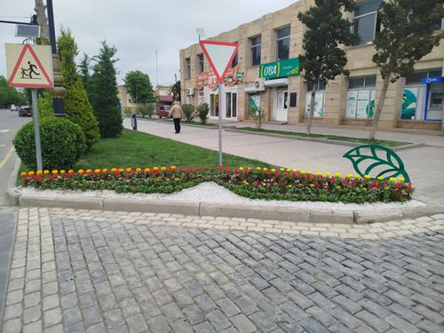 495022871 1113367124156001 8594335090388432561 n.jpg?stp=dst jpg s600x600 tt6& nc cat=101&ccb=1 7& n.jpg