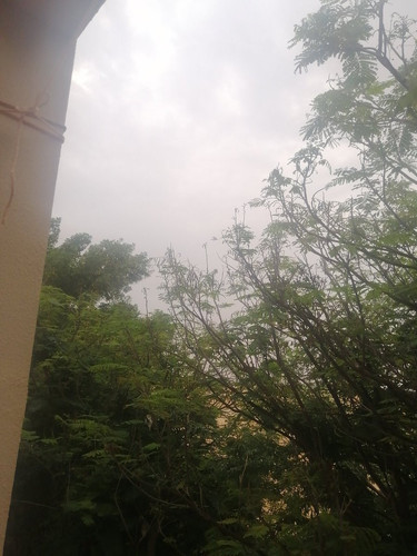 GqZI9ayWQAAGrRm.1