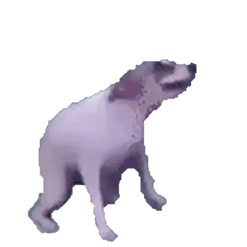 file.webp