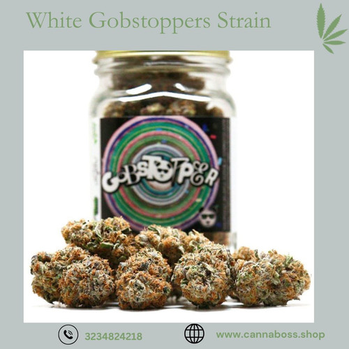 White Gobstoppers Strain.jpg