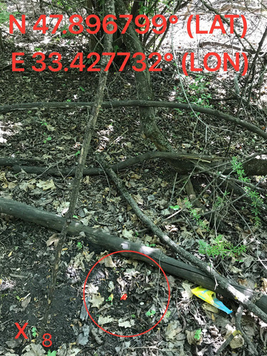 5253720077004566651.jpg