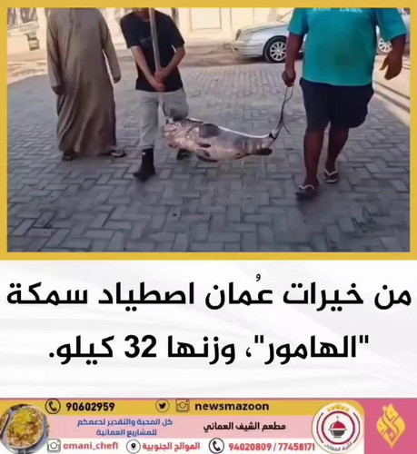 1Eoqaf n4hP58WYK.jpg