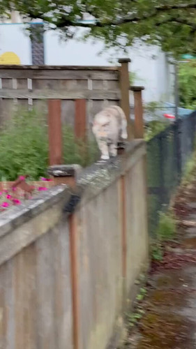 fPCyVAb3GDhwJZ0h.jpg