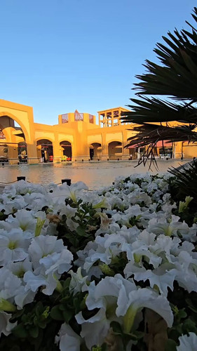 NG2ntW 6luYCa1To.jpg