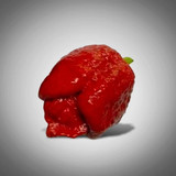 41E7TbXaLeL. AC SL1080 