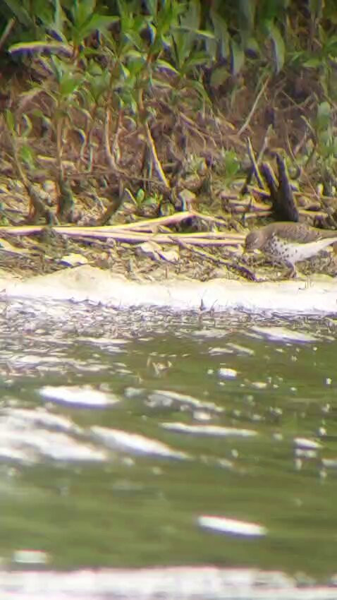 9X 5zc8 hGIKse5n.jpg