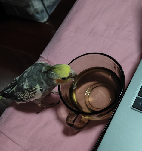 IMG 20250508 231720.jpg