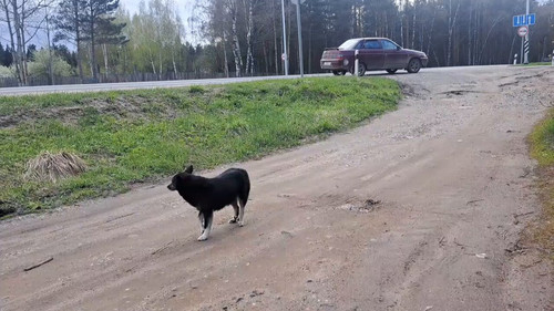 7hFyCxYtjl kecR1.jpg