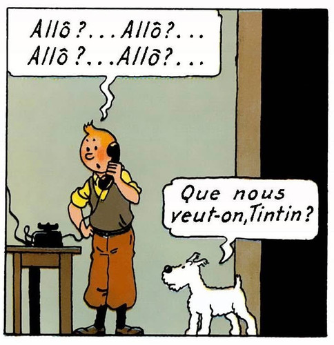 Tintin IMG 0542.jpg