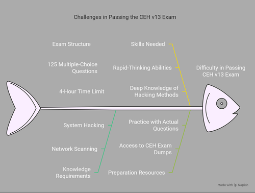 Crush the CEH v13 Exam with the Best Certified Ethical Hacker Dumps visual selection.png