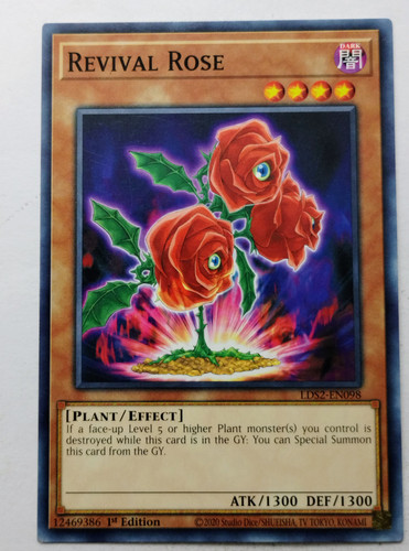 IMG 20250507 181650759.jpg