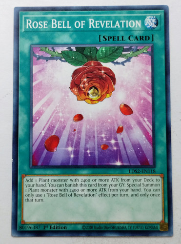 IMG 20250507 181829552.jpg