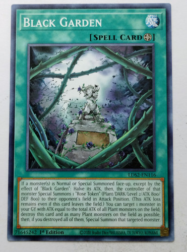 IMG 20250507 181817467.jpg