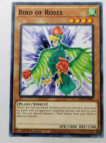 IMG 20250507 181704318.jpg