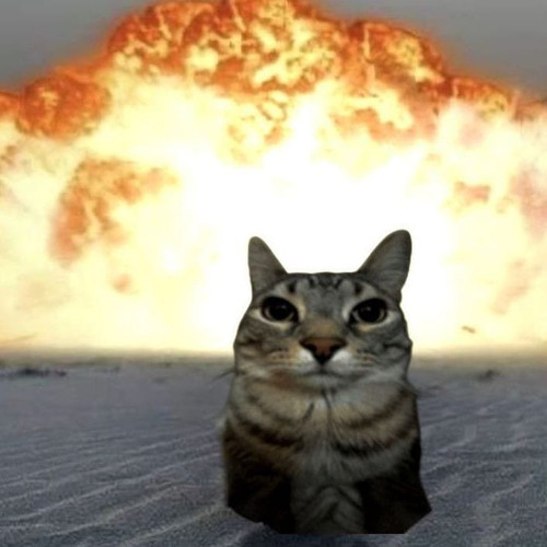 WhatsApp Image 2025 05 07 at 10.26.26 p.m. (1).jpg