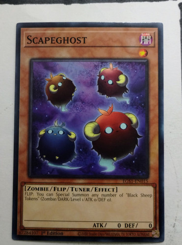 IMG 20250507 090339887.jpg