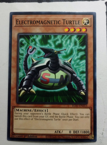 IMG 20250507 090318558.jpg