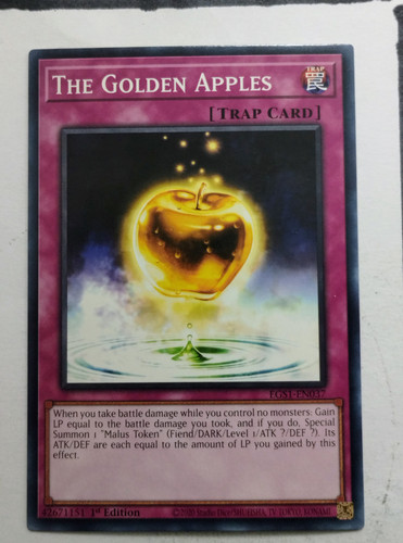 IMG 20250507 090726904.jpg