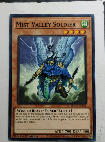 IMG 20250507 091134606.jpg