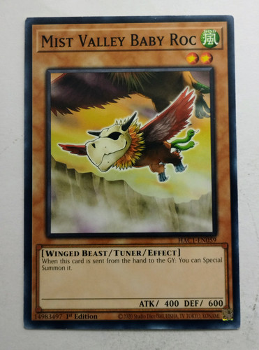 IMG 20250507 091147568.jpg