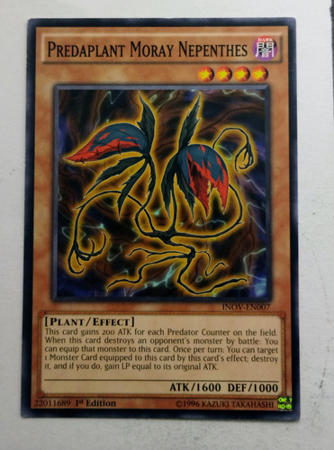 IMG 20250507 091453643.jpg