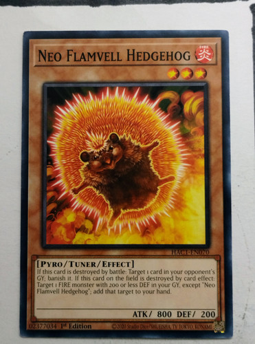 IMG 20250507 091218020.jpg