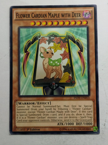 IMG 20250507 091629438.jpg