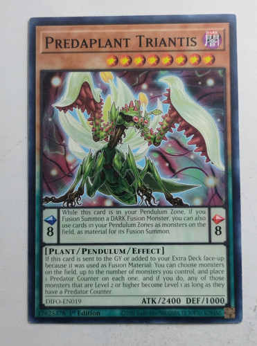 IMG 20250507 084533610.jpg