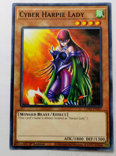 IMG 20250507 181520620.jpg