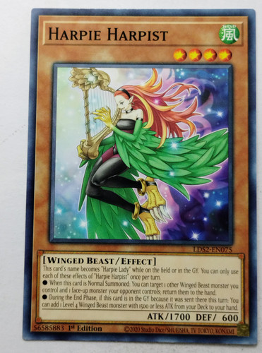 IMG 20250507 181554702.jpg