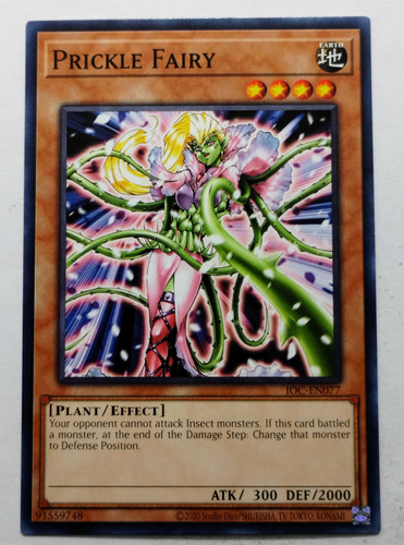 IMG 20250507 181213123.jpg