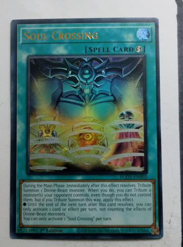 IMG 20250507 085506388.jpg