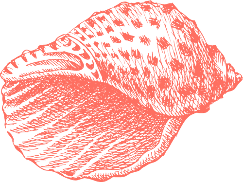 bba652cac710.png