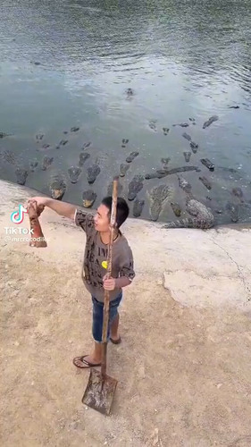 7agS9 6sjvOsiWCq.jpg