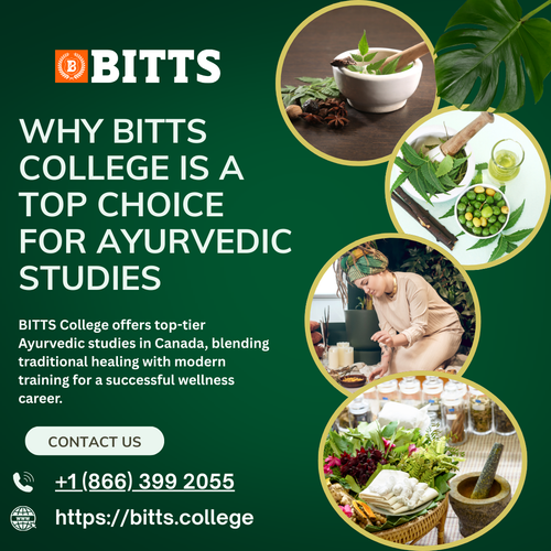 Why BITTS College Is a Top Choice for Ayurvedic Studies.png