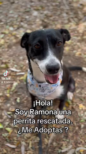 PHheoLA5fq5n2qyi.jpg